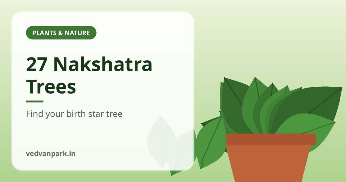 Nakshatra Tree List 2026: All 27 Birth Star Trees with Botanical Names