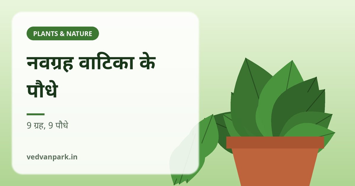 नवग्रह वाटिका के पौधे: 9 ग्रहों के 9 पौधे, दिशा, नक्शा और देखभाल (2026)