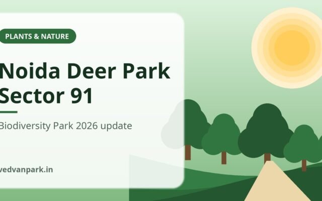 Noida Biodiversity Park Sector 91 & Deer Park (2026): Opening Date, Safari Plans, Timings & Tickets