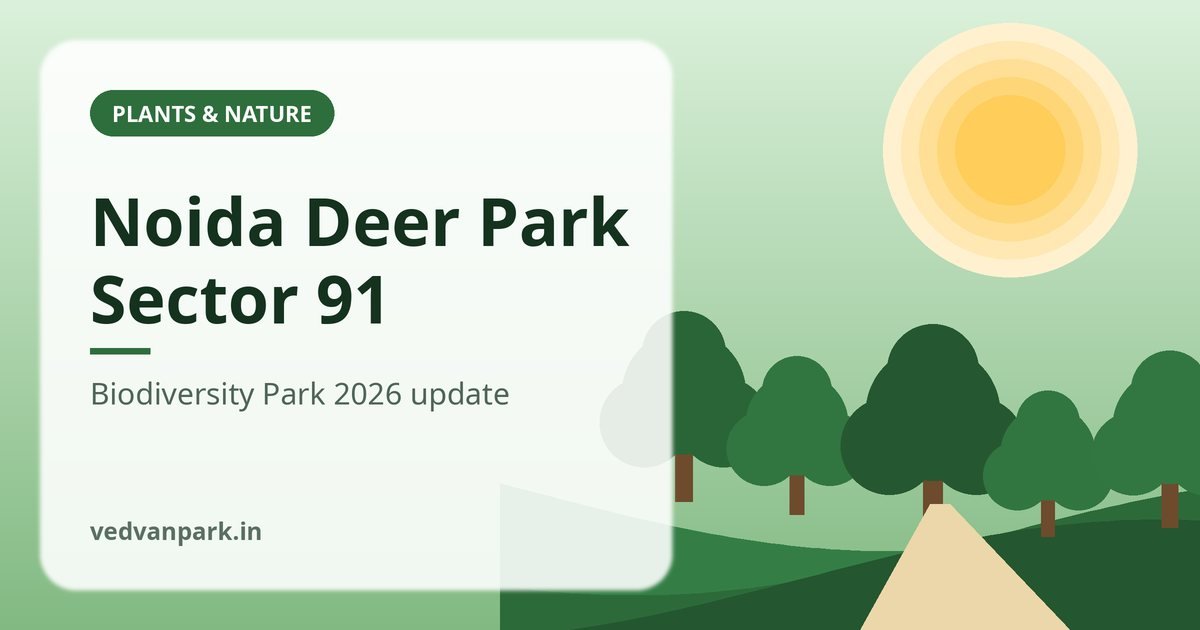 Noida Biodiversity Park Sector 91 & Deer Park (2026): Opening Date, Safari Plans, Timings & Tickets