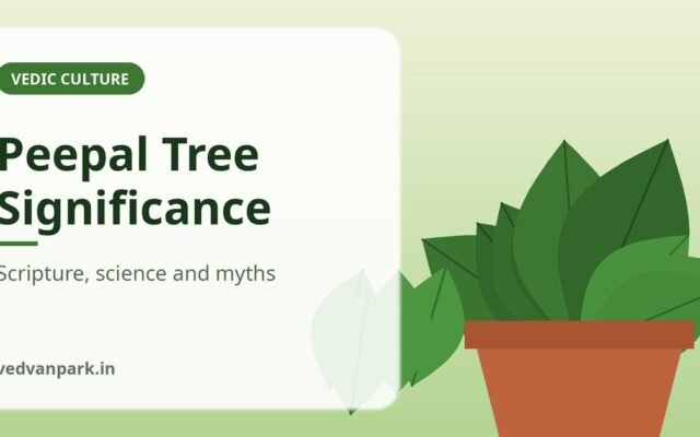 Peepal Tree Significance and Facts: Scripture, Science and Myths (2026 Guide)