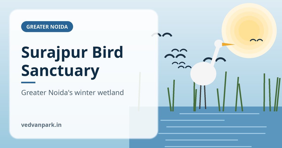 Surajpur Bird Sanctuary, Greater Noida (2026): Birds, Timings, Best Time & How to Reach